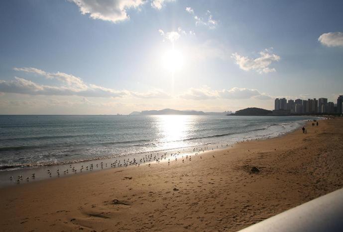 Busan Dalmaji Hotel Bagian luar foto